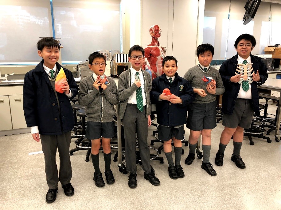 St. Joseph's Primary School students learnt about human respiratory system using the anatomical model on 13 January 2018.