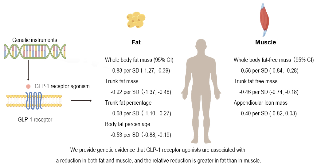 Infograph_updated_23022025
